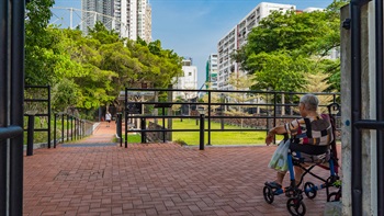 高于地面的平台可以俯瞰园景区。